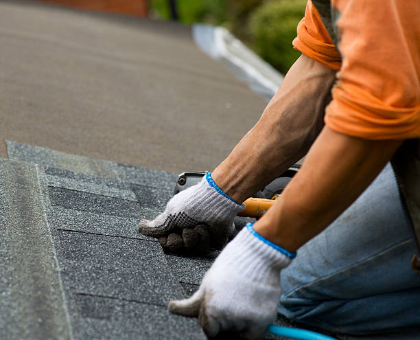 Best Metal Roofing Contractor  in North Aurora, IL